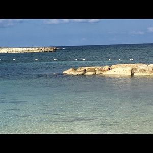 Meet your Posher, Joyce